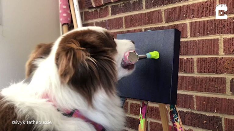 الكلبة إيفي بجوار إحدى لوحاتها الفنية