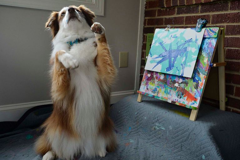 الكلبة إيفي بجوار إحدى لوحاتها الفنية