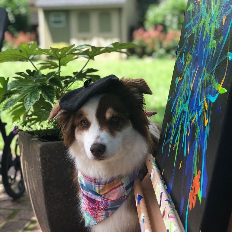 الكلبة إيفي بجوار إحدى لوحاتها الفنية