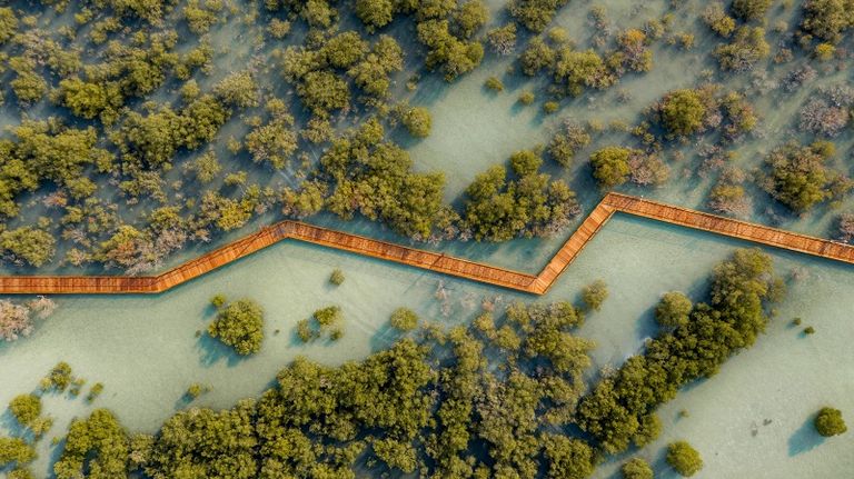 ختام مبهر لحملة 