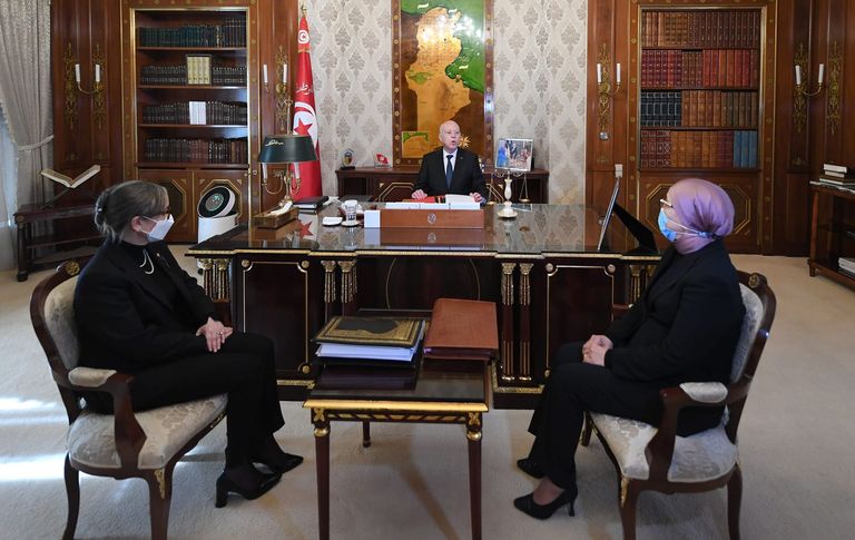 جانب من اللقاء الرئيس التونسي قيس سعيد