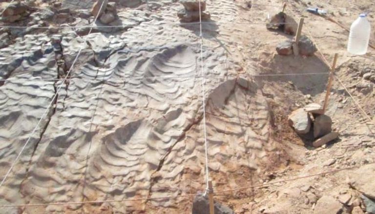 موقع آثار أقدام الديناصورات في الصحراء الشرقية