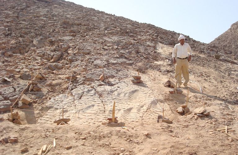 موقع آثار أقدام الديناصورات في الصحراء الشرقية