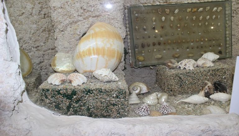 مدخل المتحف عبارة عن فم سمكة قرش عملاقة