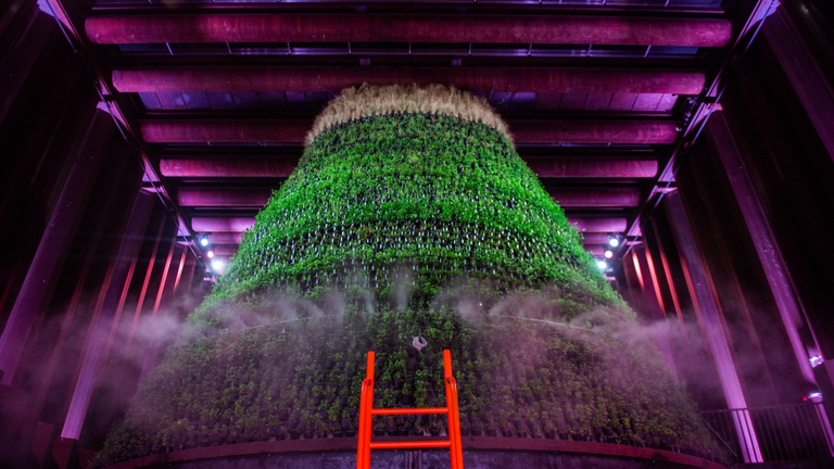 إكسبو 2020 دبي يستكشف مستقبل الغذاء والزراعة حول العالم إكسبو 2020 دبي يستكشف مستقبل الغذاء والزراعة حول العالم