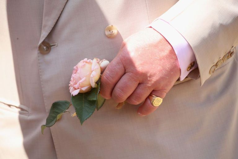 الأمير هاري