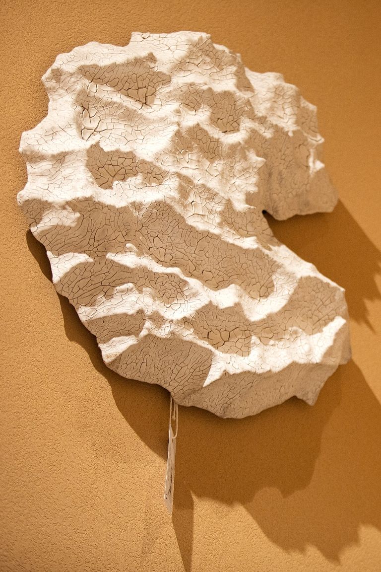 قطعة من أعمال المصمم مايكل رايس