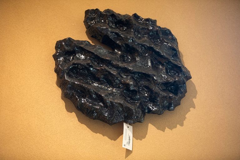 قطعة من أعمال المصمم مايكل رايس