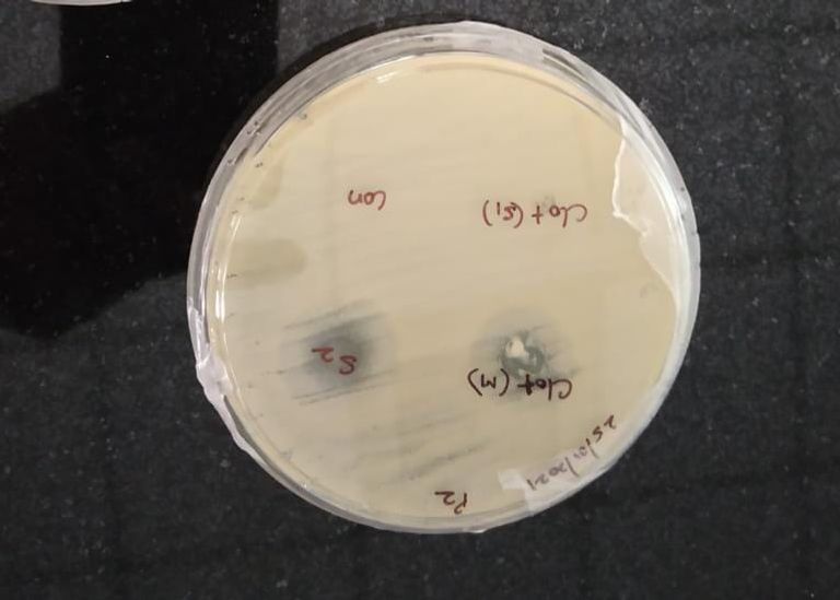 الباحث اليمني الدكتور نبيل عبدالله الباهلي