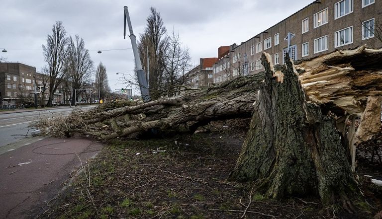 جانب من الدمار الذي خلّفته العاصفة "يونيس" في لندن