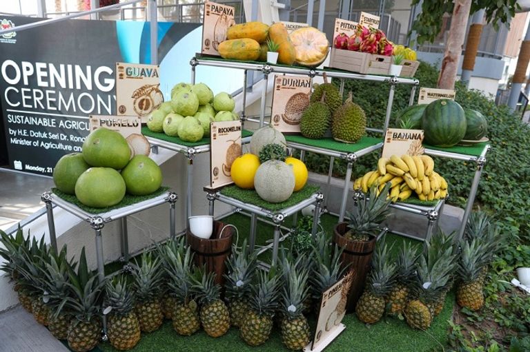 الشركات الإماراتية توقع 4 مذكرات تفاهم مع نظيرتها الماليزية في إكسبو دبي