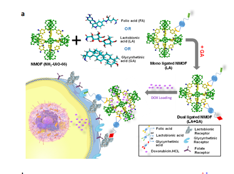 رسم توضيحي لاستخدام المركبات العضوية المتناهية الصغر (NMOFs) في توصيل الأدوية 
