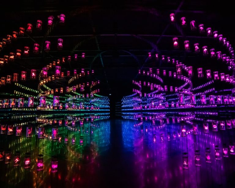 الشيخ محمد بن راشد آل مكتوم يطلّع على تجارب متحف المستقبل