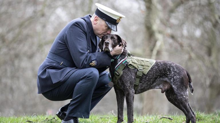 من حفل تكريم الكلب هيرتز الكلب المتقاعد هيرتز بعد تكريمه