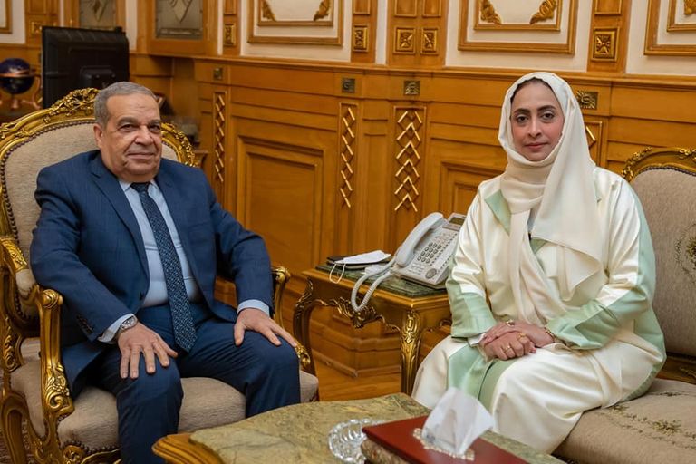 تأسيس شركة إماراتية مصرية لإنتاج سيارات صديقة للبيئة 