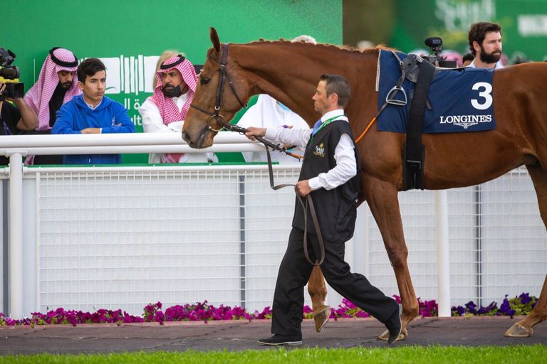 اليوم الثاني من كأس السعودية العالمي للخيول
