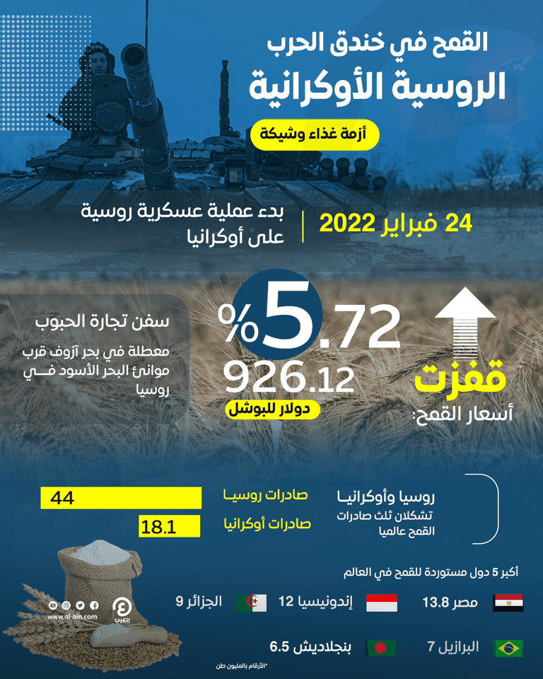 قمح - أرشيفية