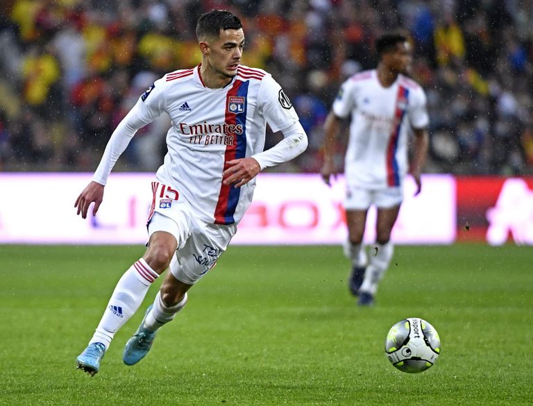  رومان فايفر