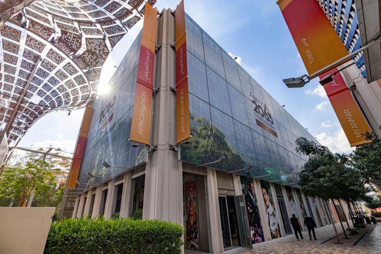 إكسبو 2020 دبي يشهد خطة تحويل أفريقيا إلى محطة طاقة عالمية