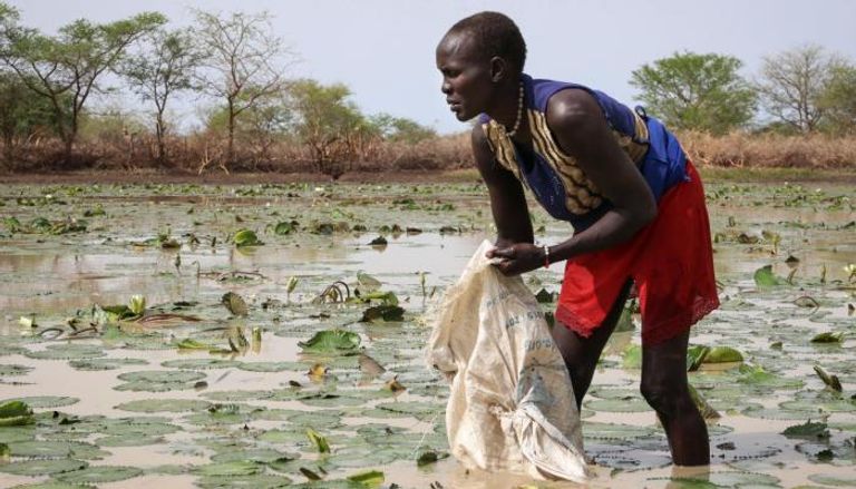 جزء كبير من سكان جنوب السودان مهددون بالمجاعة