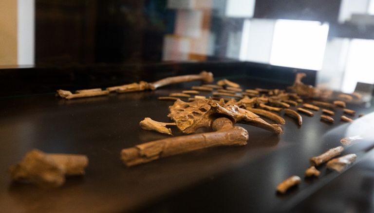 إكسبو 2020 دبي يضم صخرة تم جلبها من القمر