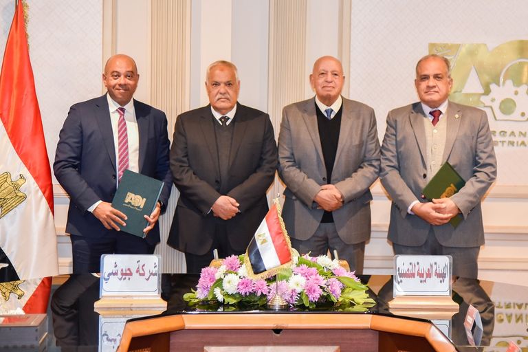 مصر تشعل سباق