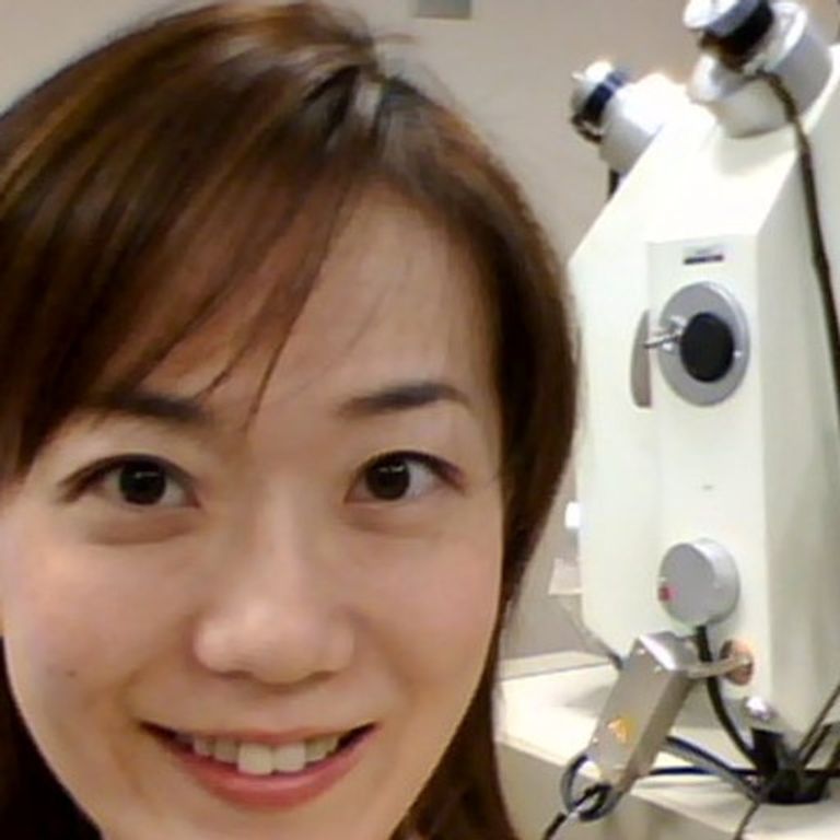 الباحثة توموكو أراي خنجر توت عنخ آمون كان محورا للعديد من الدراسات