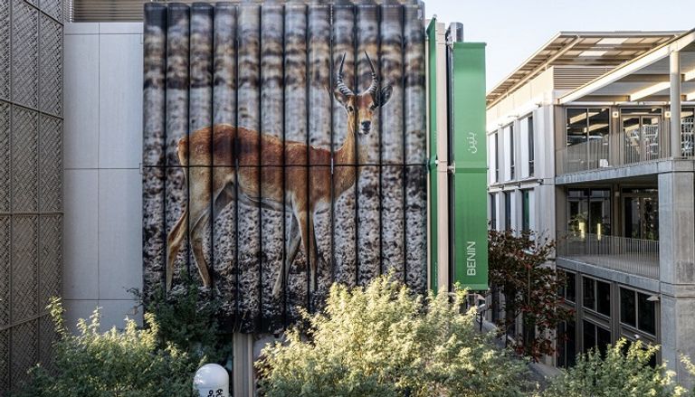 جناح المرأة في إكسبو 2020 دبي