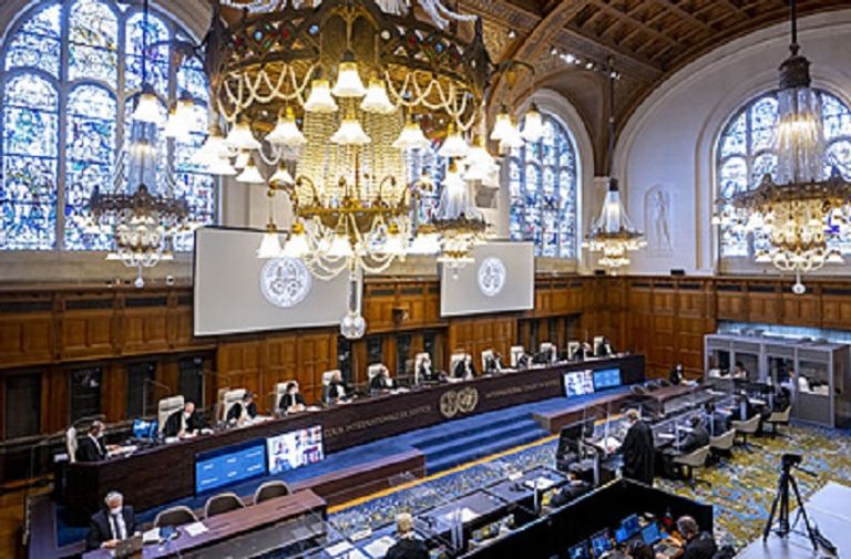 الدولية محكمة العدل المحاكم والهيئات
