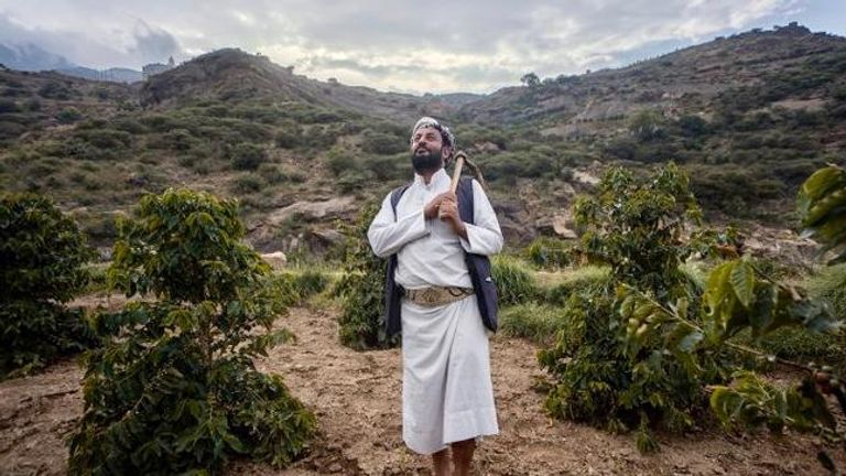 مدينة المخاء تعد مصدر فخر اليمنيين