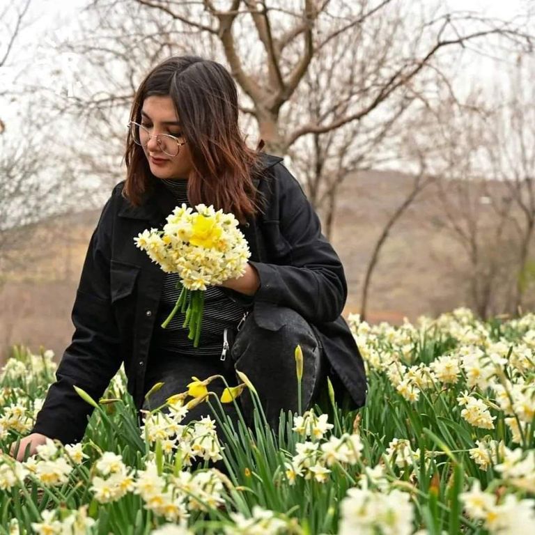 إحدى المشاركات في زراعة زهرة النرجس