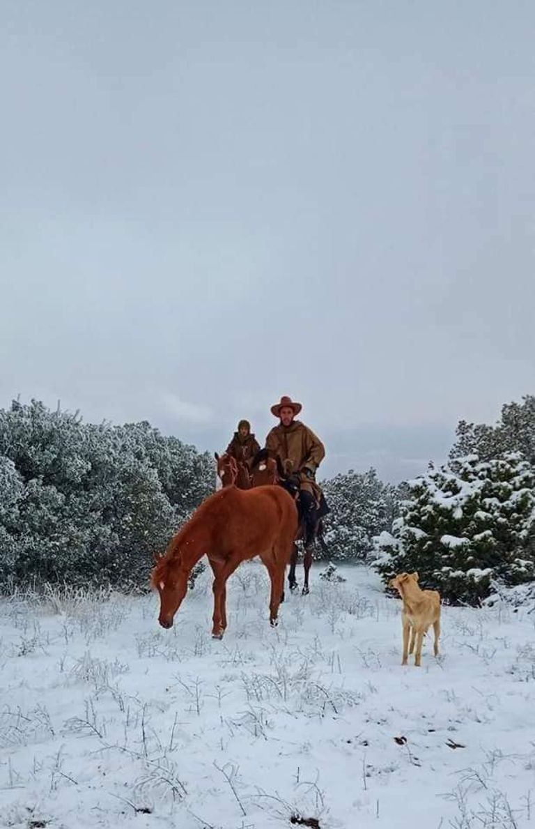 فرسان جزائريون وسط الثلوج شرقي البلاد فرسان جزائريون وسط الثلوج شرقي البلاد
