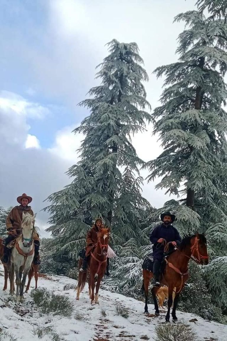 فرسان جزائريون وسط الثلوج شرقي البلاد فرسان جزائريون وسط الثلوج شرقي البلاد