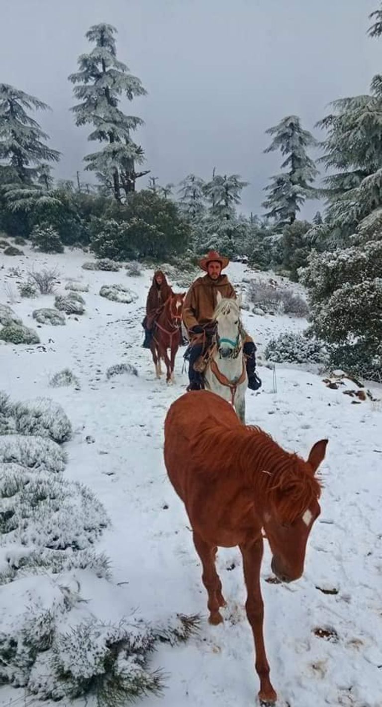 فرسان جزائريون وسط الثلوج شرقي البلاد فرسان جزائريون وسط الثلوج شرقي البلاد