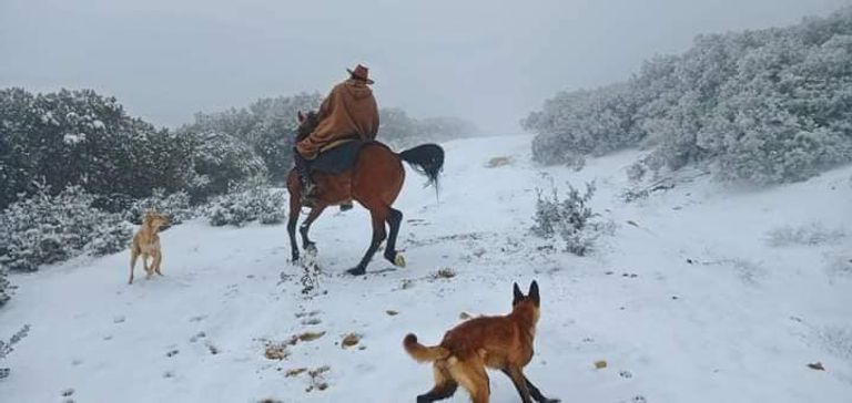 فرسان جزائريون وسط الثلوج شرقي البلاد فرسان جزائريون وسط الثلوج شرقي البلاد