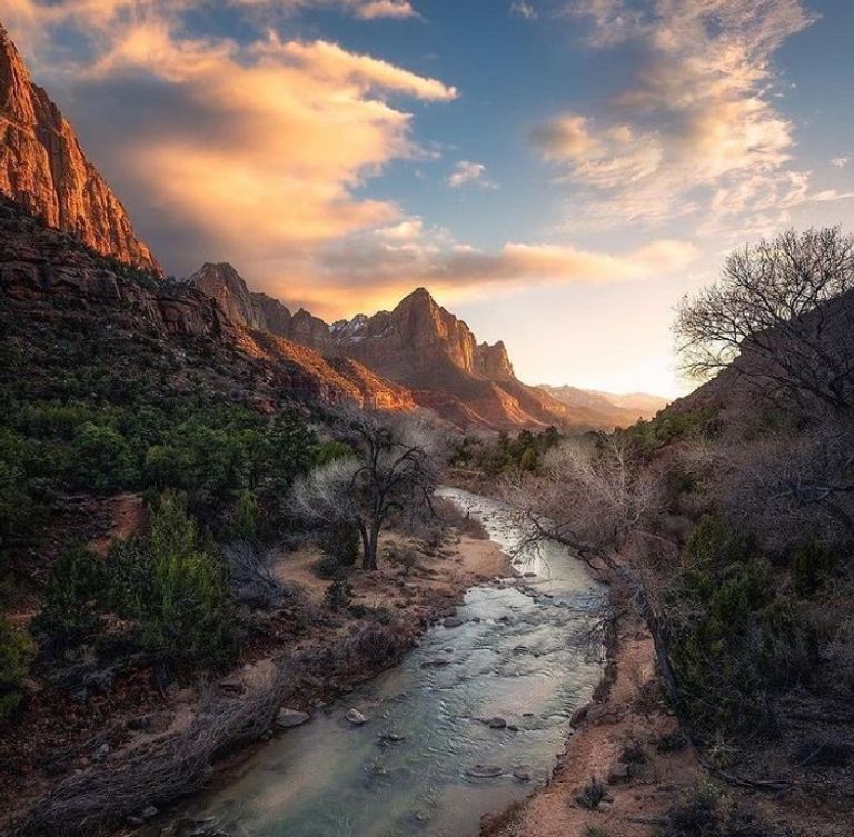 حديقة Zion National Park   حديقة Yellowstone National Park