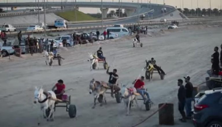 جانب من سباق الحمير في البحرين