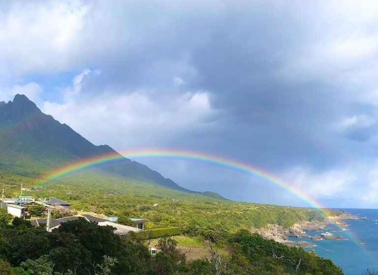غابة Yakishuma منطقة جبل Fuji