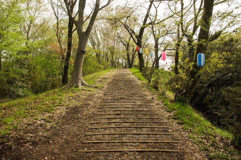 جبل Mount Koubou منطقة جبل Fuji