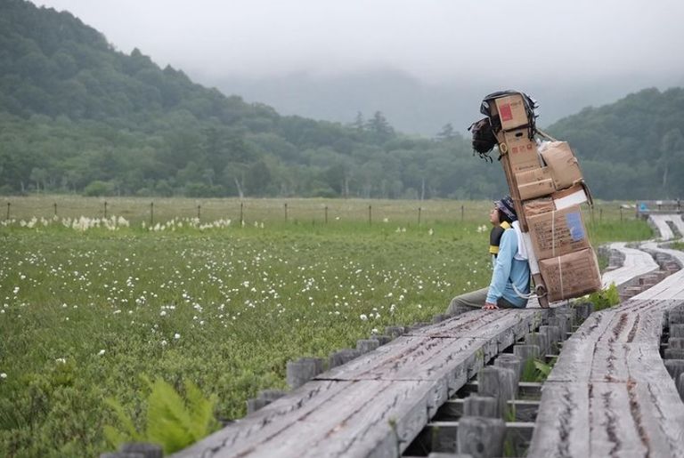 حديقة Oze منطقة جبل Fuji
