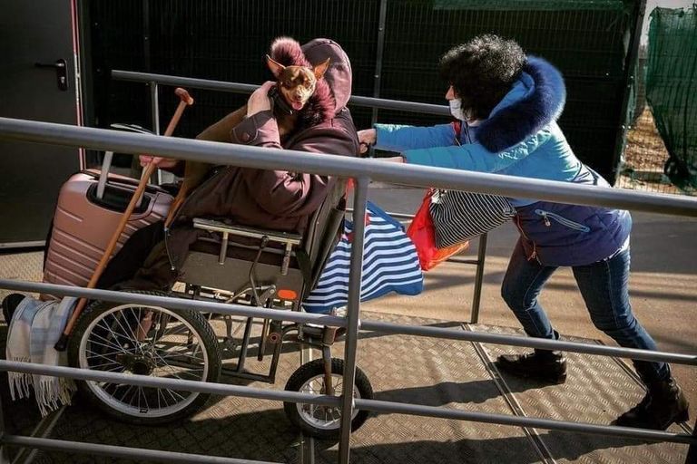 أوكرانية تحمل كلبها في رحلة البحث عن اللجوء بالخارج