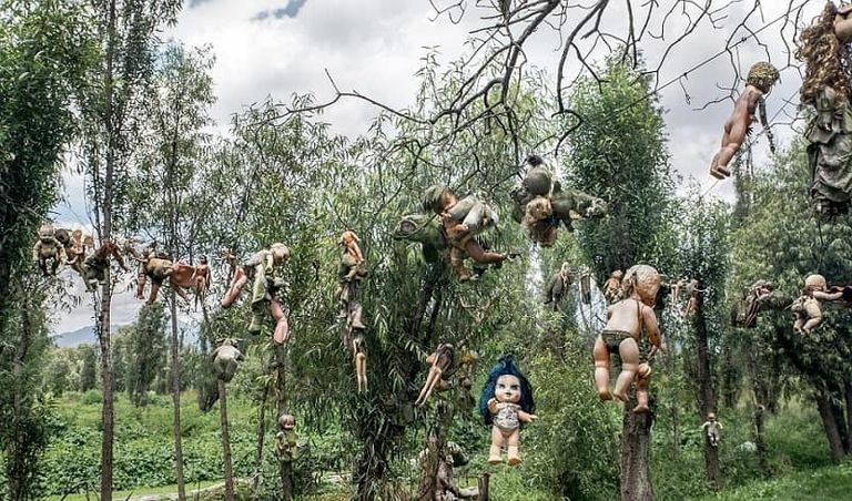 روبوت جاندام العملاق