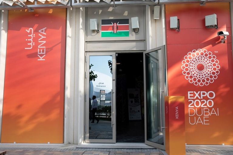 غابات أشجار القرم في الإمارات- أرشيفية