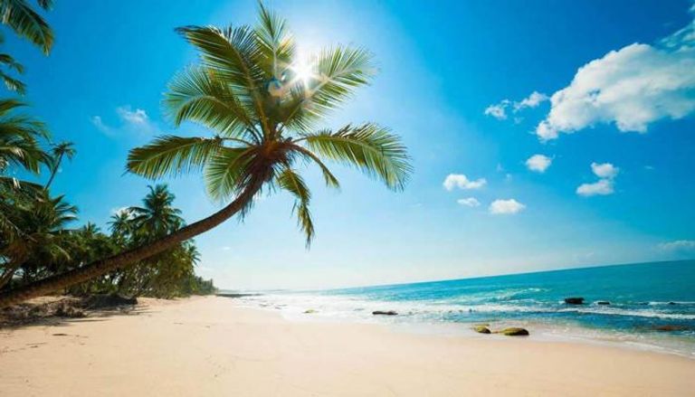 شاطئ Coconut Beach