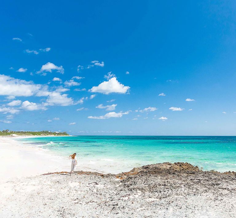 شاطئ Tahiti Beach شاطئ Coconut Beach
