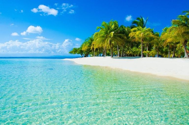 شاطئ Tintamarre Beach شاطئ Coconut Beach
