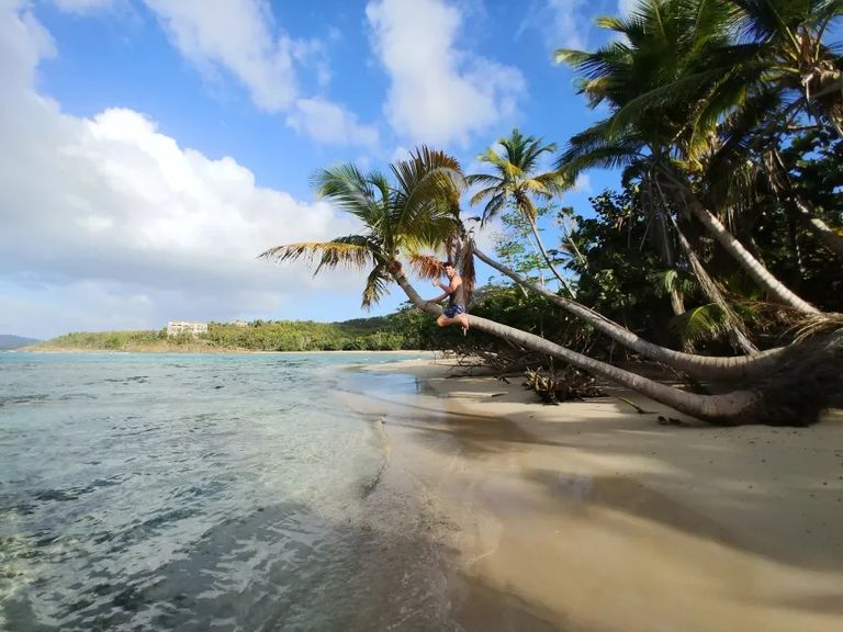 شاطئ Neltjeberg Beach  شاطئ Coconut Beach