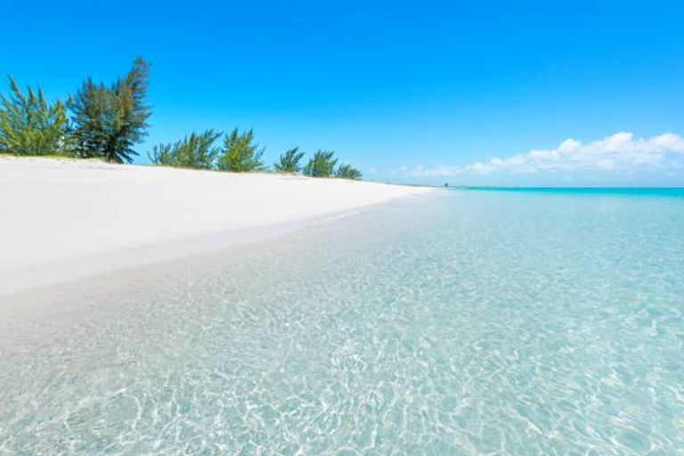 شاطئ Pine Cay شاطئ Coconut Beach