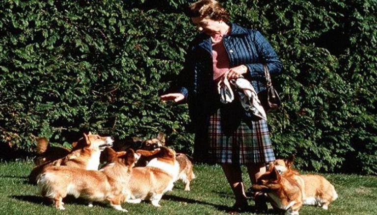الملكة إليزابيث الثانية برفقة كلابها في إحدى جولاتها - أرشيفية