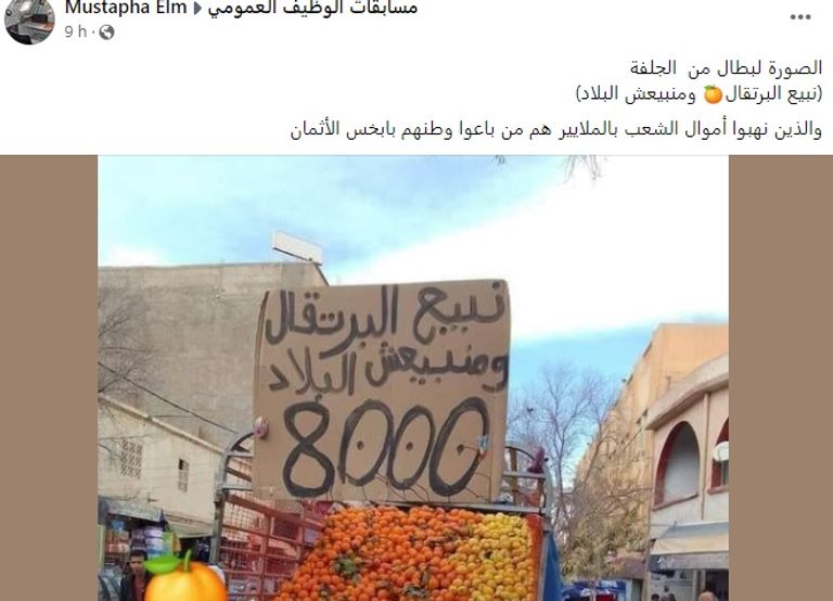 ردود أفعال رواد مواقع التواصل على الصورة التي صنعت الحدث في الجزائر إنتاج وفير من البرتقال في الجزائر - أرشيفية